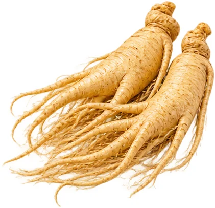 চাইনিজ জেনশিয়ান মূল — Parasotin-এর উপাদান
